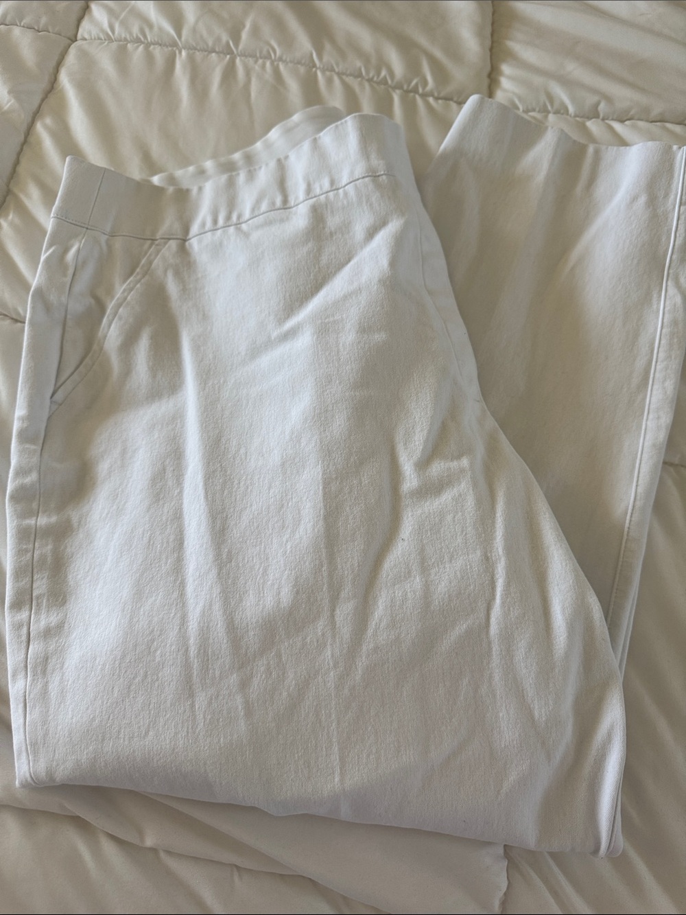 SPANX On-the-Go Ankle Slim Straight Pant with Silver Lining Technology
